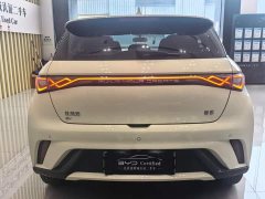 BYD Dolphin 2025 420km Freedom Edition - ფოტო 11