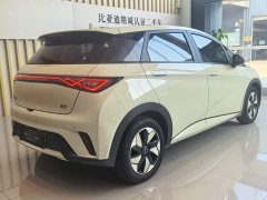 BYD Dolphin 2025 420km Freedom Edition - ფოტო 12
