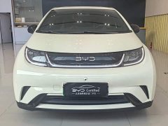 BYD Dolphin 2025 420km Freedom Edition - ფოტო 2