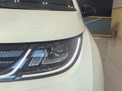 BYD Dolphin 2025 420km Freedom Edition - ფოტო 4