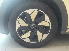 BYD Dolphin 2025 420km Freedom Edition - ფოტო 5