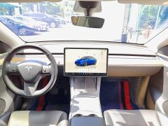 Tesla Model Y Long Range All-Wheel Drive - ფოტო 10