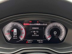 Audi A4L 40 TFSI Luxury Dynamic - ფოტო 14