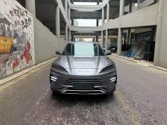 BYD Song Plus New Energy Champion Edition DM-i 110KM Flagship - ფოტო 2