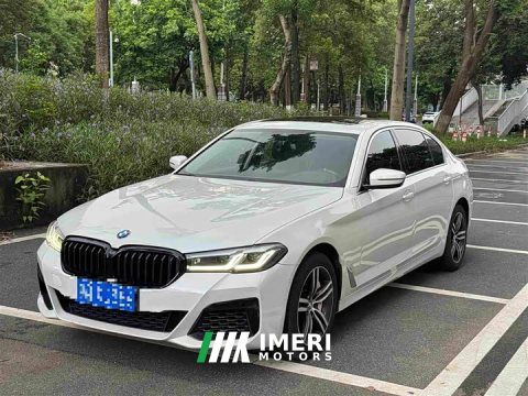 2021 BMW 5 Series 530Li Premier Luxury Package - ავტომობილი ჩინეთიდან