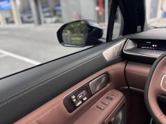 NIO ES9 102kWh Executive Island Luxury Edition - ფოტო 16