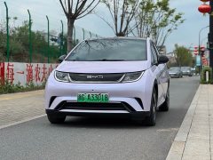 BYD Dolphin 420km Fashion Edition - ფოტო 1