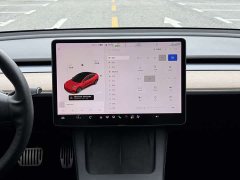 Tesla Model 3 Facelift Standard Range RWD Upgrade 3D1 - ფოტო 14