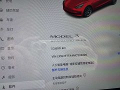 Tesla Model 3 Facelift Standard Range RWD Upgrade 3D1 - ფოტო 20