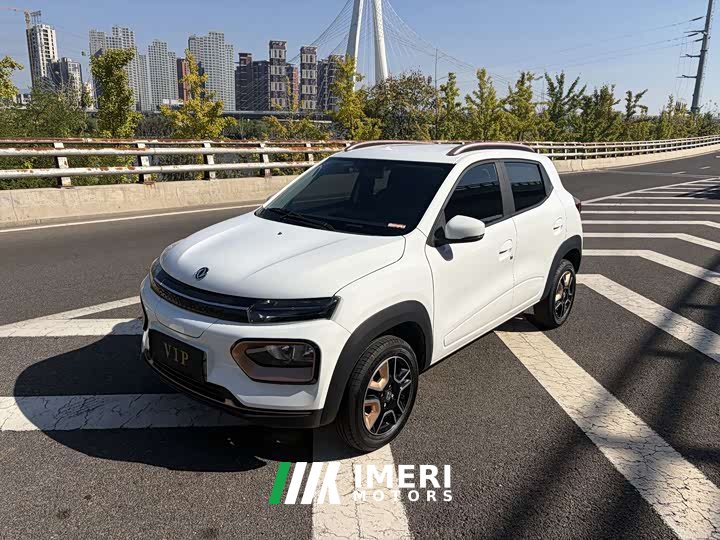Dongfeng Nano BOX Chasing Wind 351KM Advanced - автомобиль из Китая