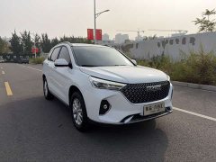 Haval M6 2021 PLUS 1.5T Manual Luxury Smart Connected Edition - ფოტო 3
