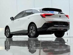 Buick Weilan 6 430km Yue Enjoy Edition - photo 14