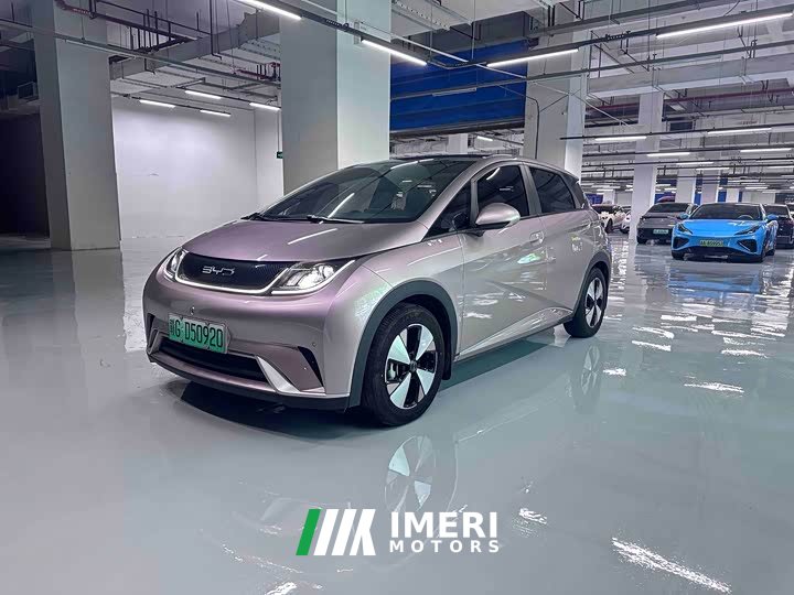BYD Dolphin 420km Fashion Edition - ავტომობილი ჩინეთიდან