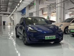 Tesla Model 3 Rear-Wheel Drive - ფოტო 2