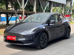 Tesla Model Y Rear-Wheel Drive - ფოტო 1