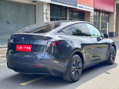 Tesla Model Y Rear-Wheel Drive - ფოტო 10