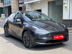 Tesla Model Y Rear-Wheel Drive - ფოტო 3