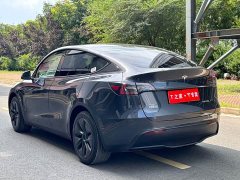 Tesla Model Y Rear-Wheel Drive - ფოტო 8