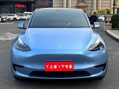Tesla Model Y Rear-Wheel Drive - ფოტო 2