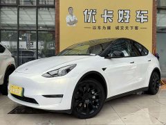 Tesla Model Y Standard Range RWD - ფოტო 1