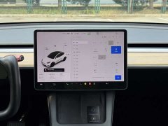 Tesla Model Y Standard Range RWD - ფოტო 11