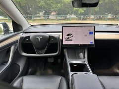 Tesla Model Y Standard Range RWD - ფოტო 14