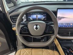 Denza D9 2022 DM-i 970 AWD Flagship - ფოტო 8