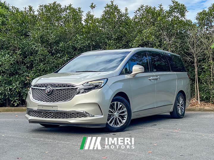 Buick GL8 ES Land Respect 653T Respect Enjoyment Edition