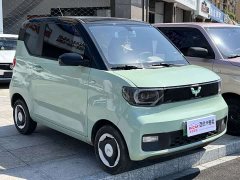 BMW Hongguang MINIEV Macaron Premium Edition LFP - ფოტო 6