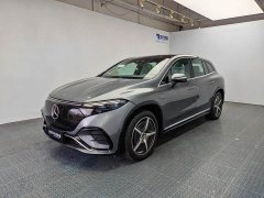 Mercedes-Benz Mercedes-EQ EQS SUV 2023 450 4MATIC Pioneer Edition - ფოტო 1