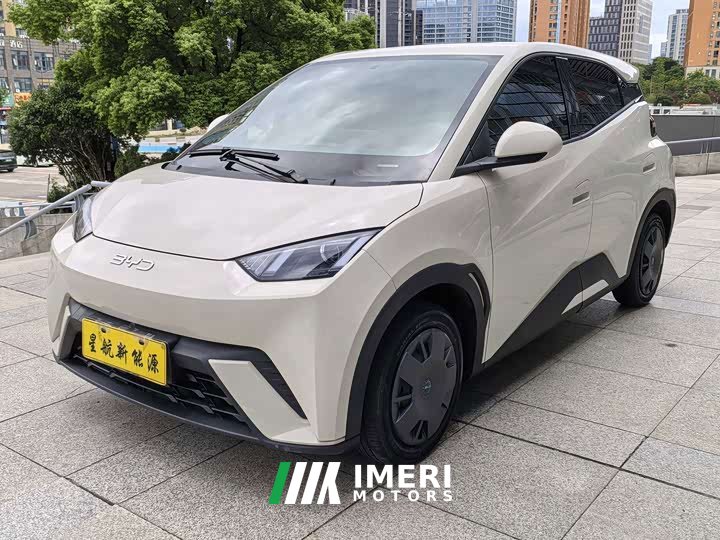 BYD Seagull 305km Vitality Edition - ავტომობილი ჩინეთიდან
