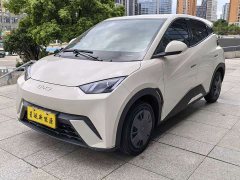 BYD Seagull 305km Vitality Edition - ფოტო 1