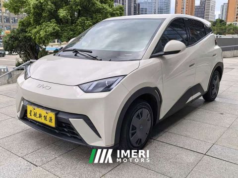 2025 BYD Seagull 305km Vitality Edition - ავტომობილი ჩინეთიდან