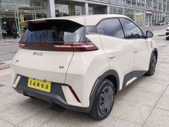 BYD Seagull 305km Vitality Edition - ფოტო 8