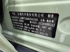 Tank 300 2021 2.0T Wind Forest Iron Cavalry - ფოტო 11