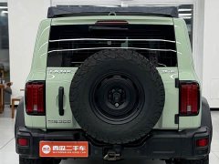 Tank 300 2021 2.0T Wind Forest Iron Cavalry - ფოტო 14