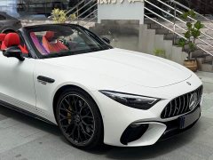 Mercedes-Benz Mercedes-AMG SL 63 4MATIC 2024 - ფოტო 10