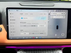 XPeng G9 725 Max - ფოტო 15