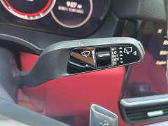 Porsche Cayenne 3.0T - ფოტო 19