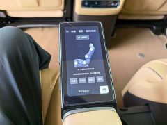 Denza BYD Denza D9 DM-i 980 Four-Wheel Drive Premium - ფოტო 19