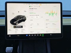 Tesla Model Y Facelift Rear-Wheel Drive - ფოტო 12