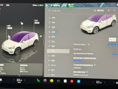 Tesla Model Y Rear-Wheel Drive - ფოტო 15