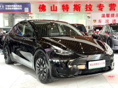 Tesla Model Y Rear-Wheel Drive - ფოტო 2