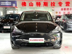Tesla Model Y Rear-Wheel Drive - ფოტო 3