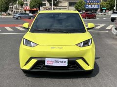 BYD Seagull Freedom Edition - ფოტო 2