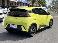 BYD Seagull Freedom Edition - ფოტო 4