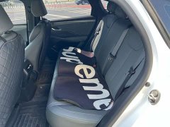 BYD Qin PLUS EV Smart Drive 420KM Leading Edition - ფოტო 10