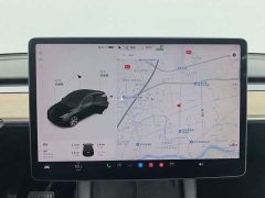 Tesla Model Y 2021 Standard Range RWD - ფოტო 11