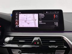 BMW 5 Series 530Li Premier M Sport Package - ფოტო 13