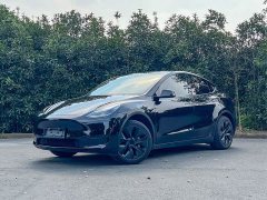 Tesla Model Y 2023 Rear-Wheel Drive - ფოტო 1